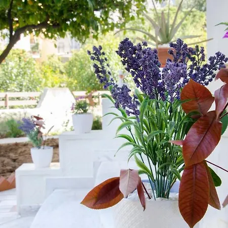Garden House Palaio Faliro Apartament